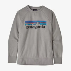 Patagonia Kids' Lightweight Crew Sweatshirt - P-6 Logo: Drifter Grey
